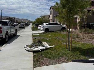 Paul V.'s grass cutting service result