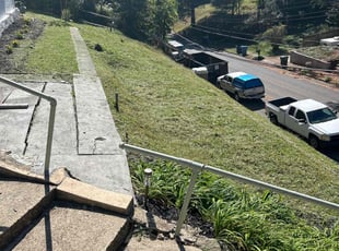 Sunny G.'s Long Grass Cleanup service result