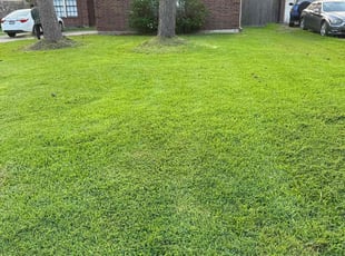 Niki L.'s turf maintenance service result