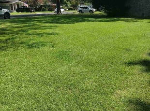 Jay B.'s lawn care services service result