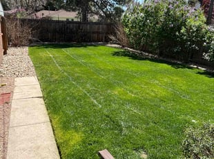 Fran K.'s grass cutting service result