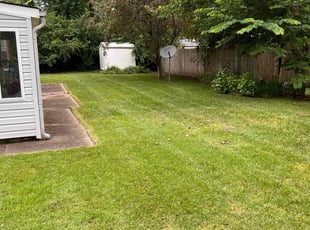 Thomas W.'s lawn maintenance service result
