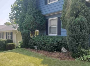 Chris S.'s Bush Trimming service result
