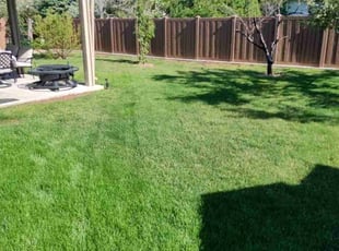 Helen L.'s lawn care service result