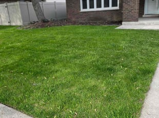 Robert W.'s lawn care service result