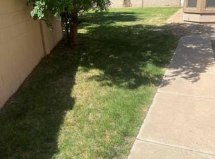 Cristian S.'s turf care service result