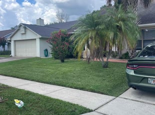 Lynette P.'s lawn care service result