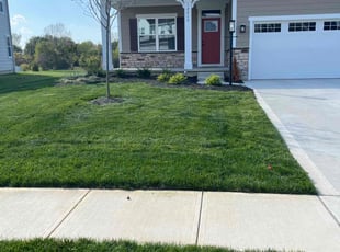 Tobin S.'s lawn care services service result