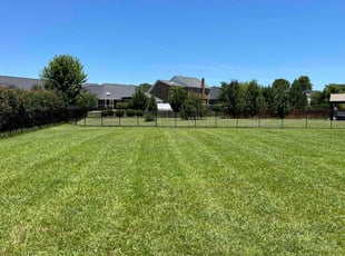 Joe A.'s turf maintenance service result