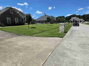 Amber B.'s grass maintenance service result