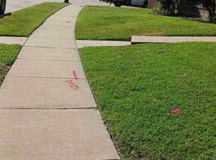 Josh O.'s turf care service result