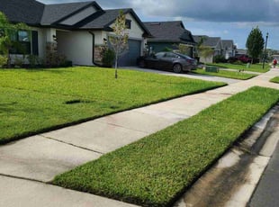 Ilke T.'s lawn maintenance service result