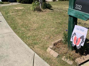 Karinna F.'s Bush Trimming service result