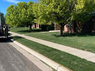 Manuel H.'s turf care service result