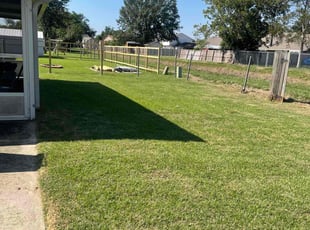 Tyrone S.'s lawn service service result