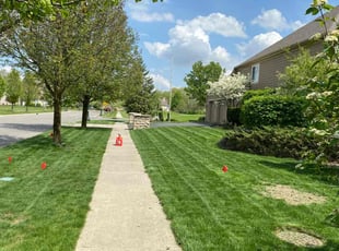 Karen C.'s grass cutting service result