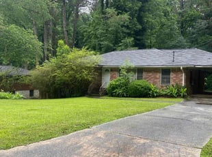 Jaycee H.'s lawn maintenance service result