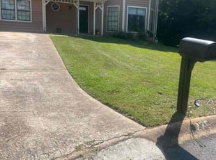 Sam C.'s lawn care services service result