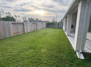 Zozimo K.'s turf care service result