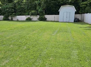 Haylie B.'s turf maintenance service result