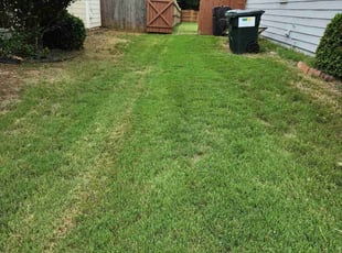 Shelley H.'s lawn maintenance service result