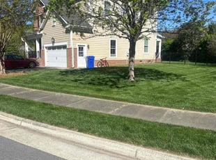 Tiffany N.'s lawn maintenance service result