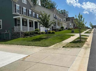 Wuandale G.'s grass cutting service result