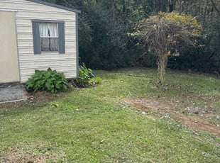 Brandon M.'s Bush Trimming service result