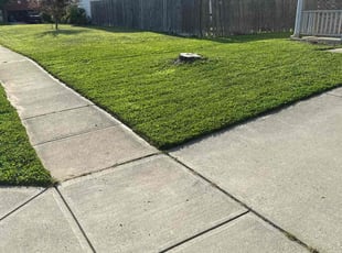 Daniel W.'s lawn maintenance service result