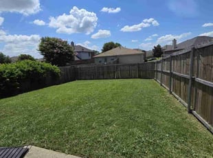 Tim M.'s turf care service result