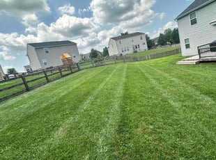 Cristel E.'s lawn service service result