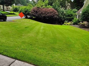 Kala L.'s lawn care service result