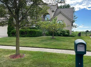 Gwen G.'s grass maintenance service result