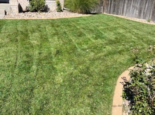 Greyson C.'s lawn service service result