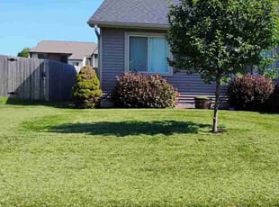 Sara W.'s lawn maintenance service result