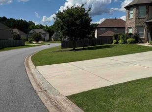Mike C.'s grass maintenance service result