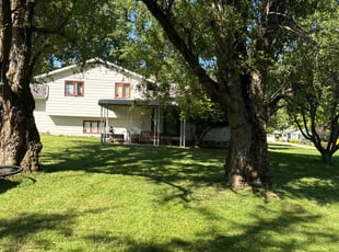 Jamie D.'s lawn care services service result