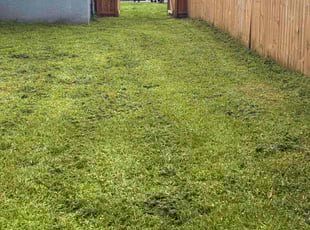 Ugoamaka B.'s lawn maintenance service result