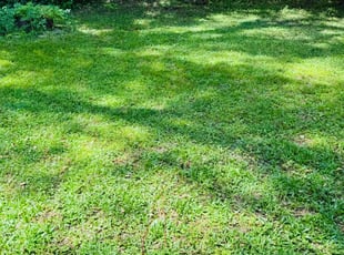 Sam S.'s landscaping services service result