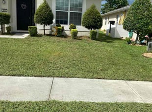 Jessica G.'s Bush Trimming service result