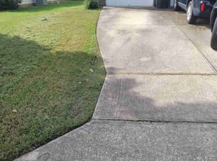 Richard P.'s grass cutting service result