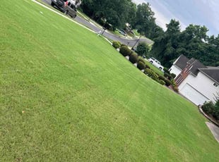 Susan T.'s lawn care services service result