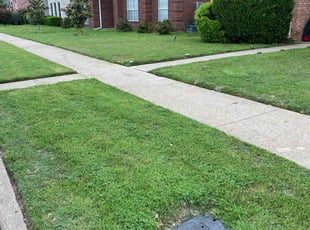 Niya S.'s grass maintenance service result