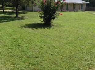 Jeanette M.'s yard service service result