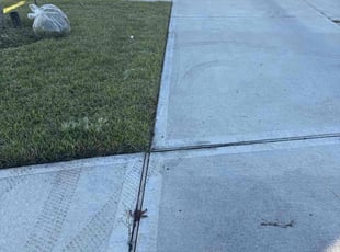 Aretina S.'s grass maintenance service result