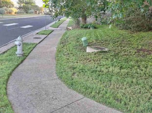 Patricia C.'s lawn care service result