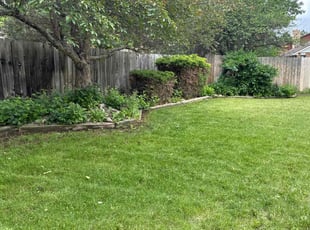 Alisa P.'s lawn care service result