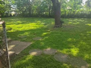 Laida B.'s lawn care service result