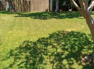 Glenn J.'s lawn maintenance service result
