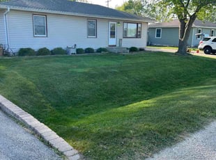 Vincent T.'s turf maintenance service result
